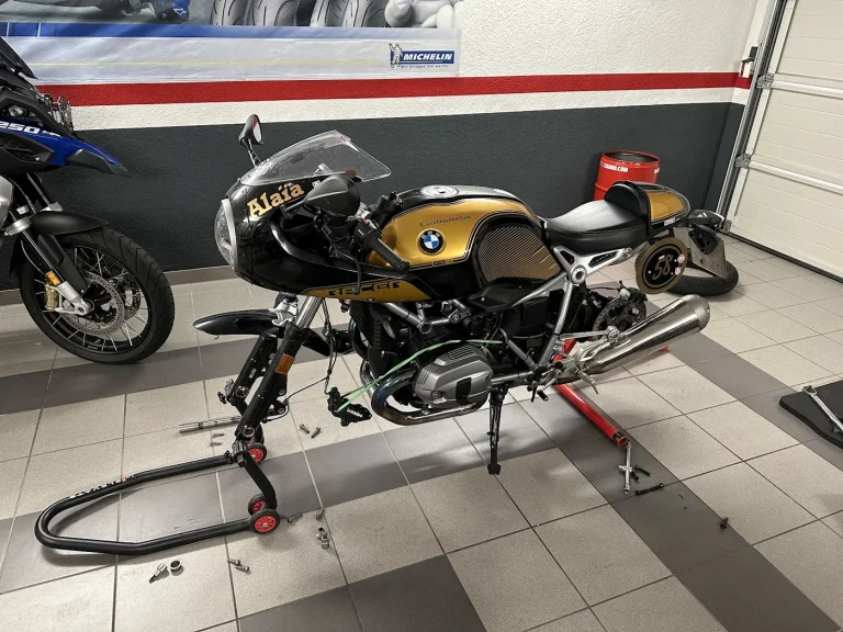 Gelber Boxer in der Werkstatt
